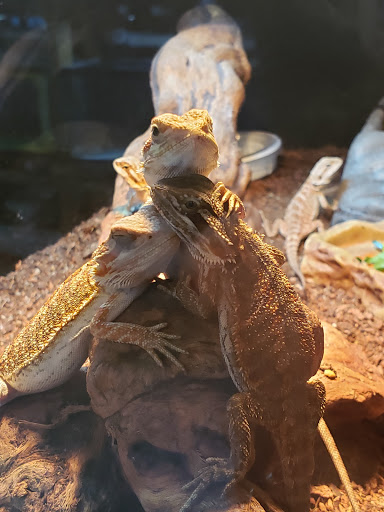 Pet Store «Fins Feathers Paws & Claws», reviews and photos, 436 Main St, Harleysville, PA 19438, USA