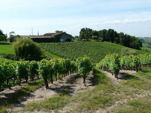 Domaine du Noble à Loupiac