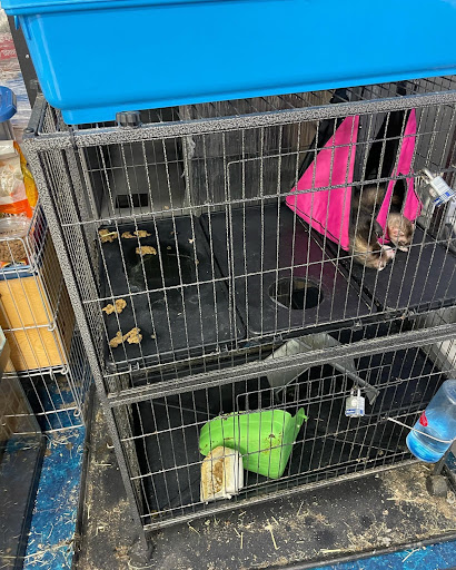 Pet Supply Store «Pet Supplies Plus», reviews and photos, 1380 W Lane Ave, Upper Arlington, OH 43221, USA