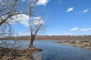 Elizabeth Mills Riverfront Park image