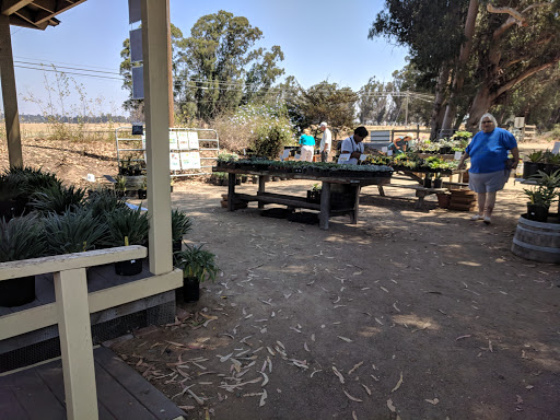 Growing Grounds Farm Santa Maria image