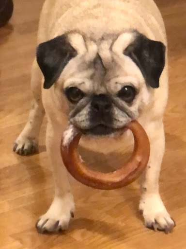 Pet Supply Store «Sonoma Pet and Aquatics», reviews and photos, 201 W Napa St #7, Sonoma, CA 95476, USA