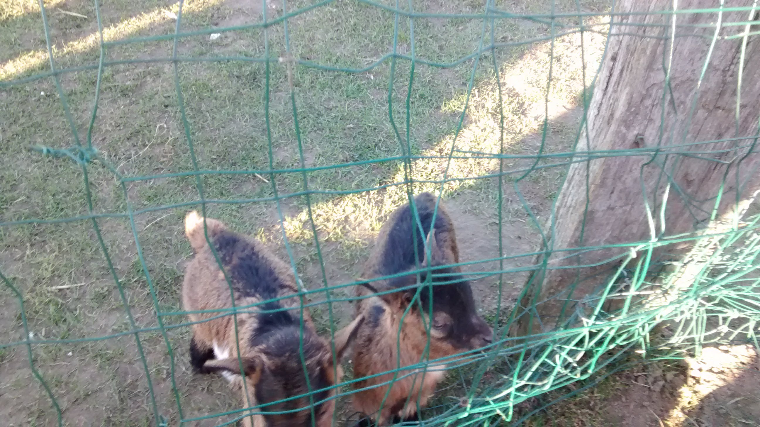 Photo n° 3 de l'avis de Sandrina.o fait le 25/02/2019 à 08:36