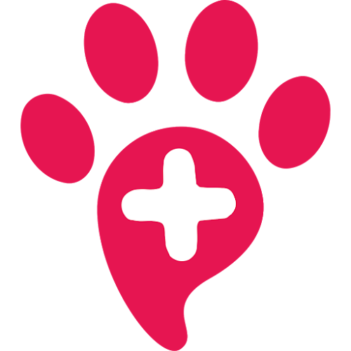 Comments and reviews of PawSquad Edinburgh (Mobile Vets)