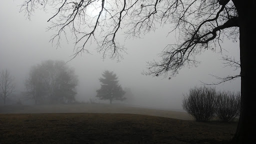 Walnut Hill Disc Golf Course image 7