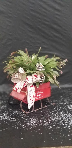 Florist «Tri-City Florist», reviews and photos, 1817 W Vista Way A, Vista, CA 92083, USA