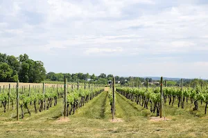 Waltz Vineyards Estate Winery image