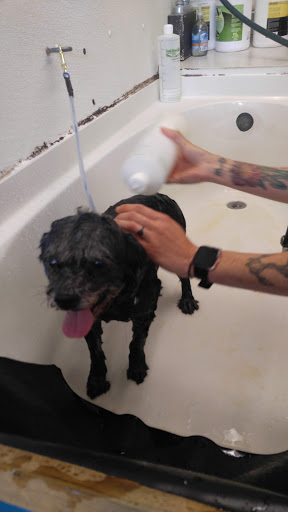 Pet Store «Abrams and Weakley General Store for Animals», reviews and photos, 3963 N 6th St, Harrisburg, PA 17110, USA