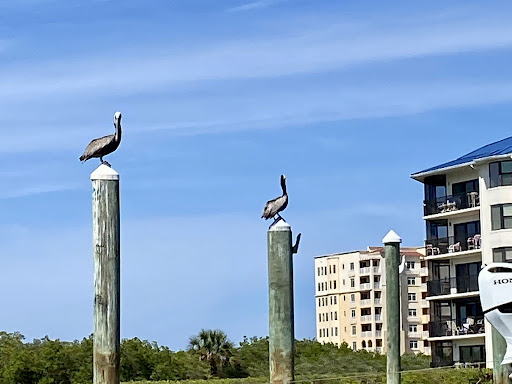 Fishing Charter «Ponce Inlet Water Sports», reviews and photos, 4936 S Peninsula Dr, Ponce Inlet, FL 32127, USA