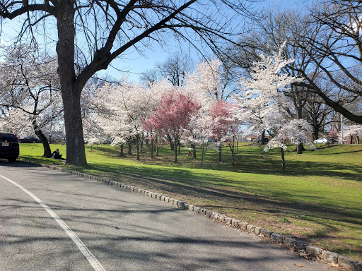 Park «Branch Brook Park», reviews and photos, Lake St & Park Avenue, Newark, NJ 07104, USA