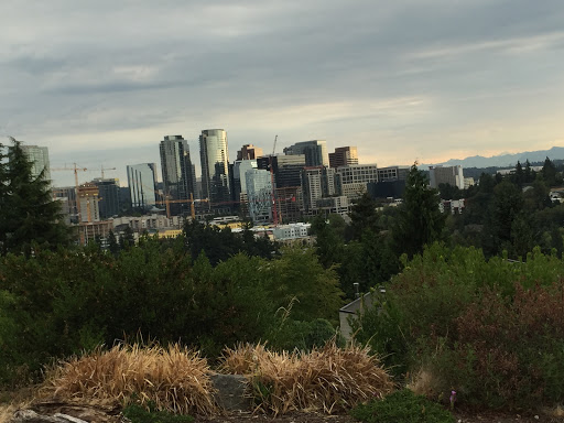 Park «Chism Beach Park», reviews and photos, 9600 SE 11th St, Bellevue, WA 98004, USA