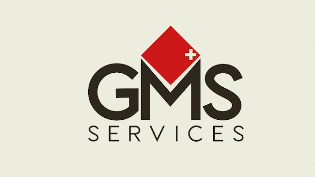 GMS Services - Déménagement à Carouge - Umzugs- und Lagerservice