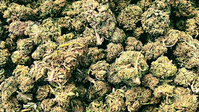CBD SHOP EN LIGNE EASYHERBS LES ROUSSES à Les Rousses