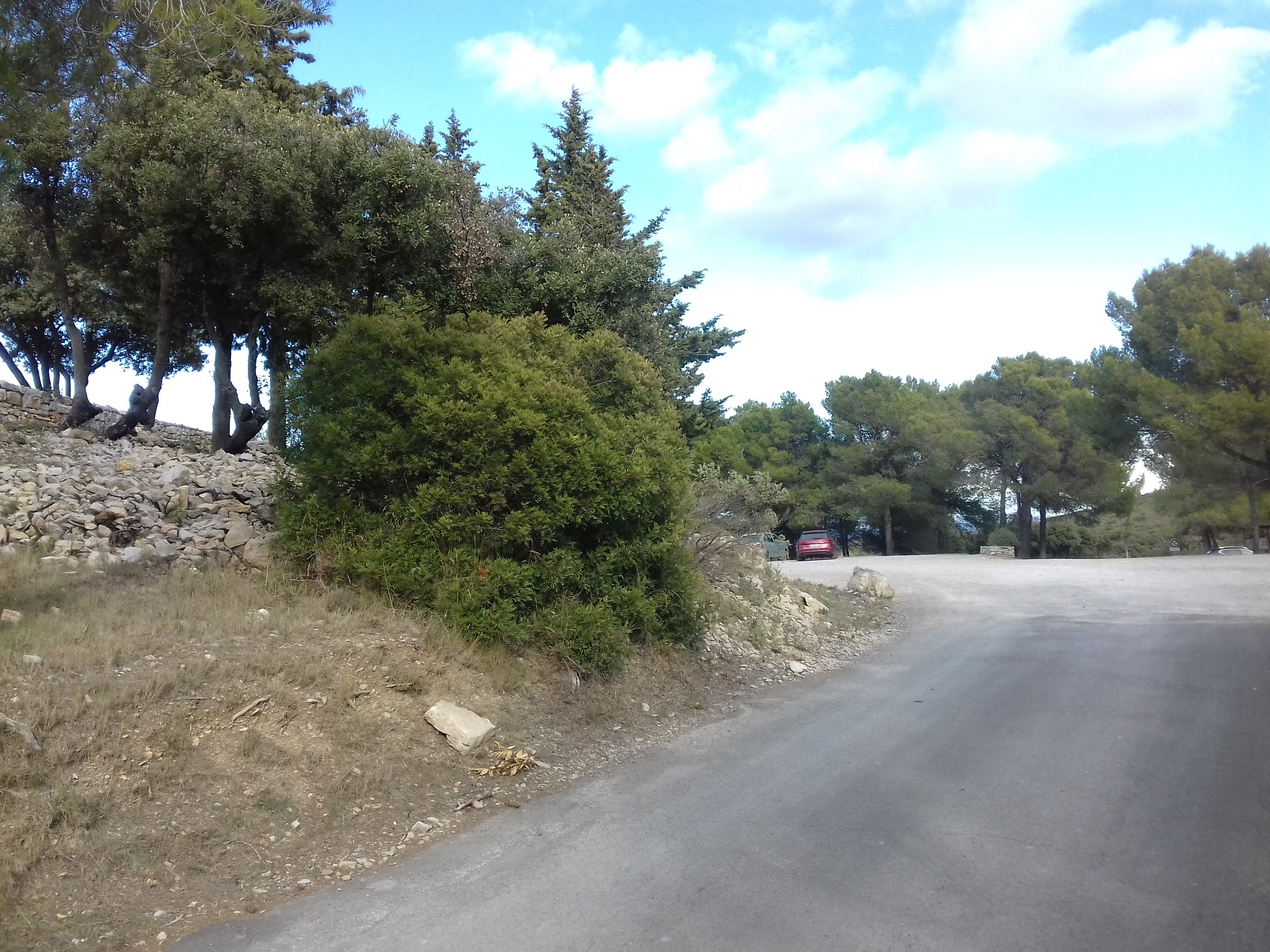 Photo n° 4 de l'avis de saintboianais. fait le 01/12/2017 à 18:40