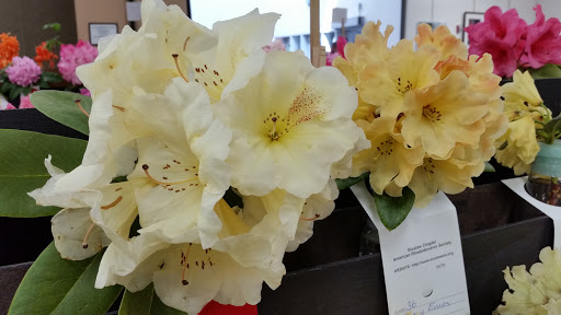 Event Venue «Florence Events Center», reviews and photos, 715 Quince St, Florence, OR 97439, USA