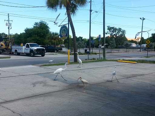 Seafood Market «Jensen Brothers Seafood», reviews and photos, 911 Douglas Ave, Dunedin, FL 34698, USA