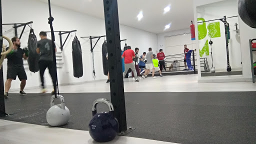 Box'in Mérida en Mérida, Badajoz