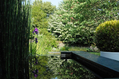Cré-actif - Paysagiste jardinier - entretien et création - Angers à Longuenée-en-Anjou