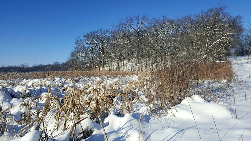 Park «Lake Rebecca Park Reserve», reviews and photos, 9831 Rebecca Park Trail, Rockford, MN 55377, USA