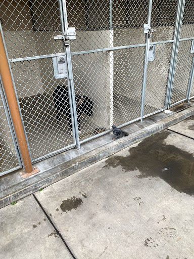 Carson Animal Shelter image