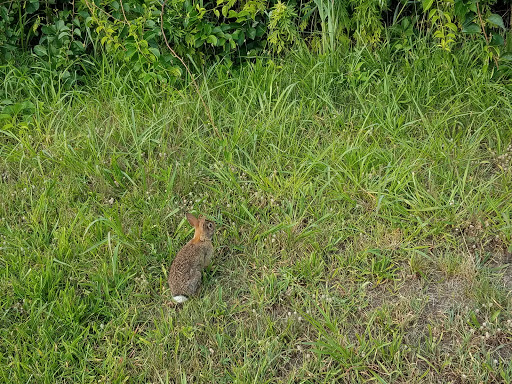 Golf Course «Short Beach Golf Course», reviews and photos, 1 Dorne Dr, Stratford, CT 06615, USA