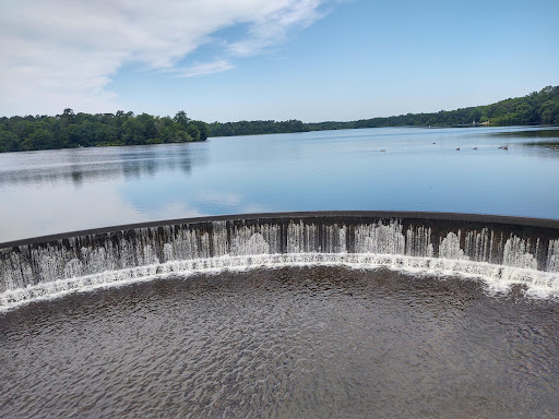 State Park «Parvin State Park», reviews and photos, 701 Almond Rd, Pittsgrove Township, NJ 08318, USA