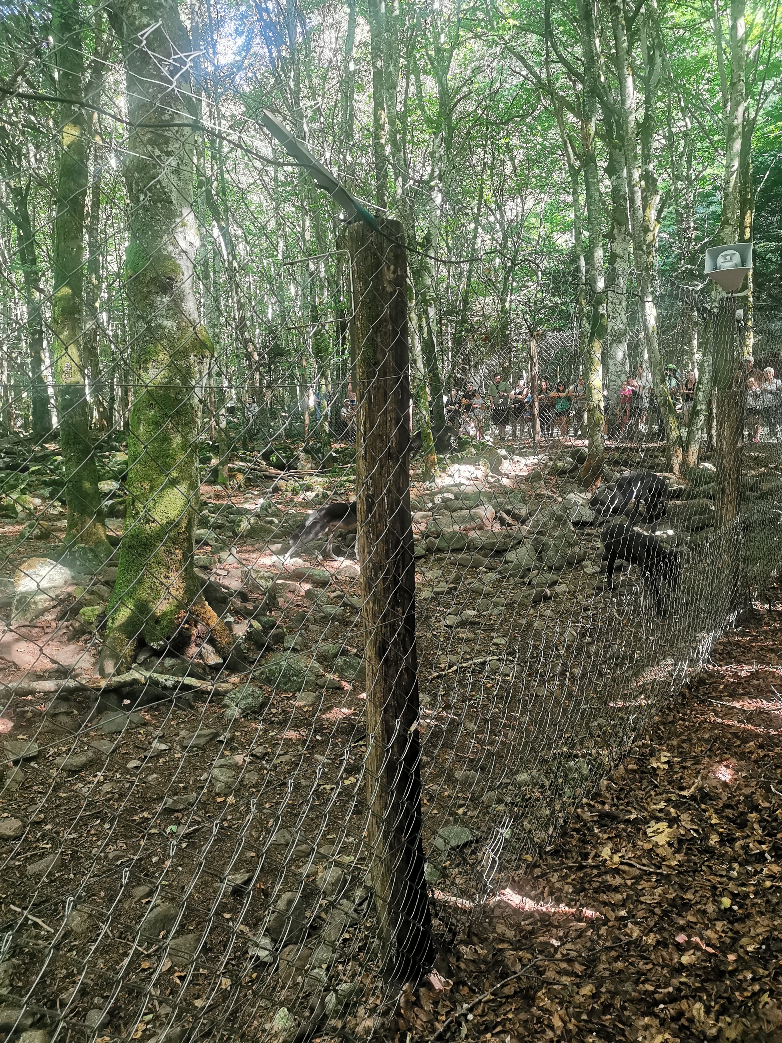 Photo n° 2 de l'avis de Claire.e fait le 11/08/2023 à 07:56