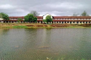 Rajas School Swimming Pond Area image