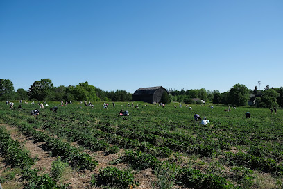 Organic Farms