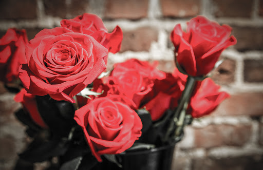 Florist «Foothill Flowers», reviews and photos, 102 W Main St, Grass Valley, CA 95945, USA