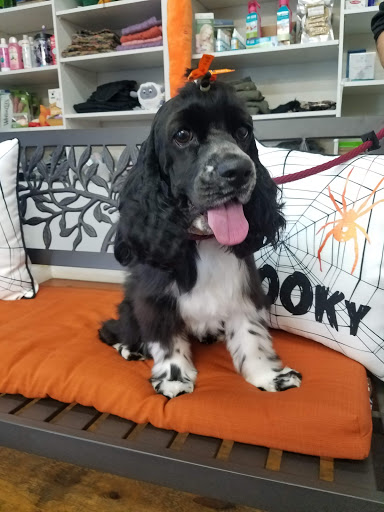 Pet Boarding Service «Bed and Biscuits / Groomingdales», reviews and photos, 2625 Chanticleer Ave, Santa Cruz, CA 95065, USA