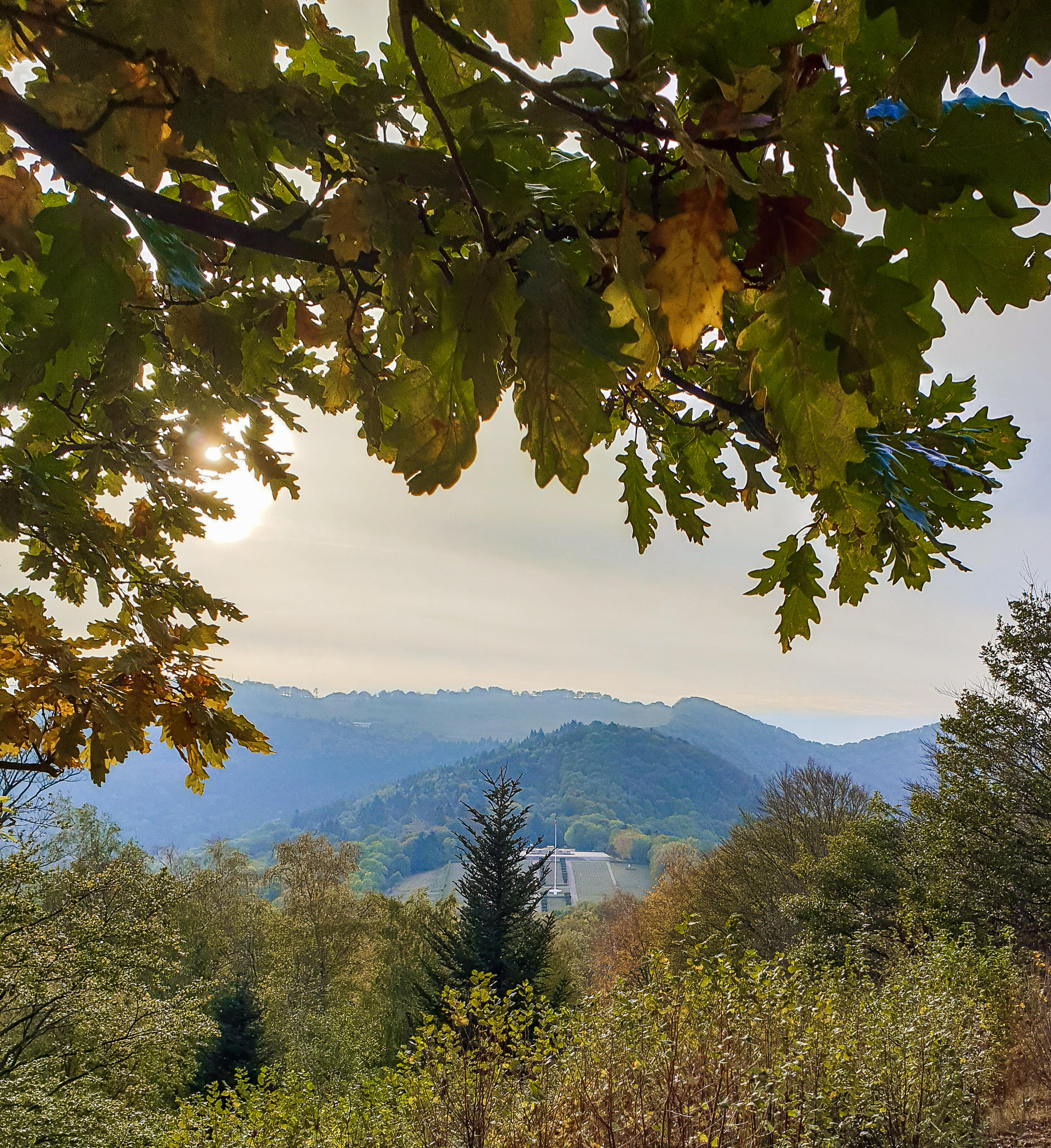 Photo n° 4 de l'avis de sandra.w fait le 26/10/2020 à 15:14