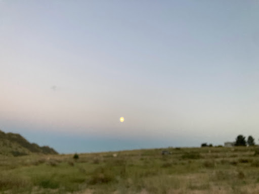 Tourist Attraction «Mount Falcon Park», reviews and photos, Castle Trail, Morrison, CO 80465, USA