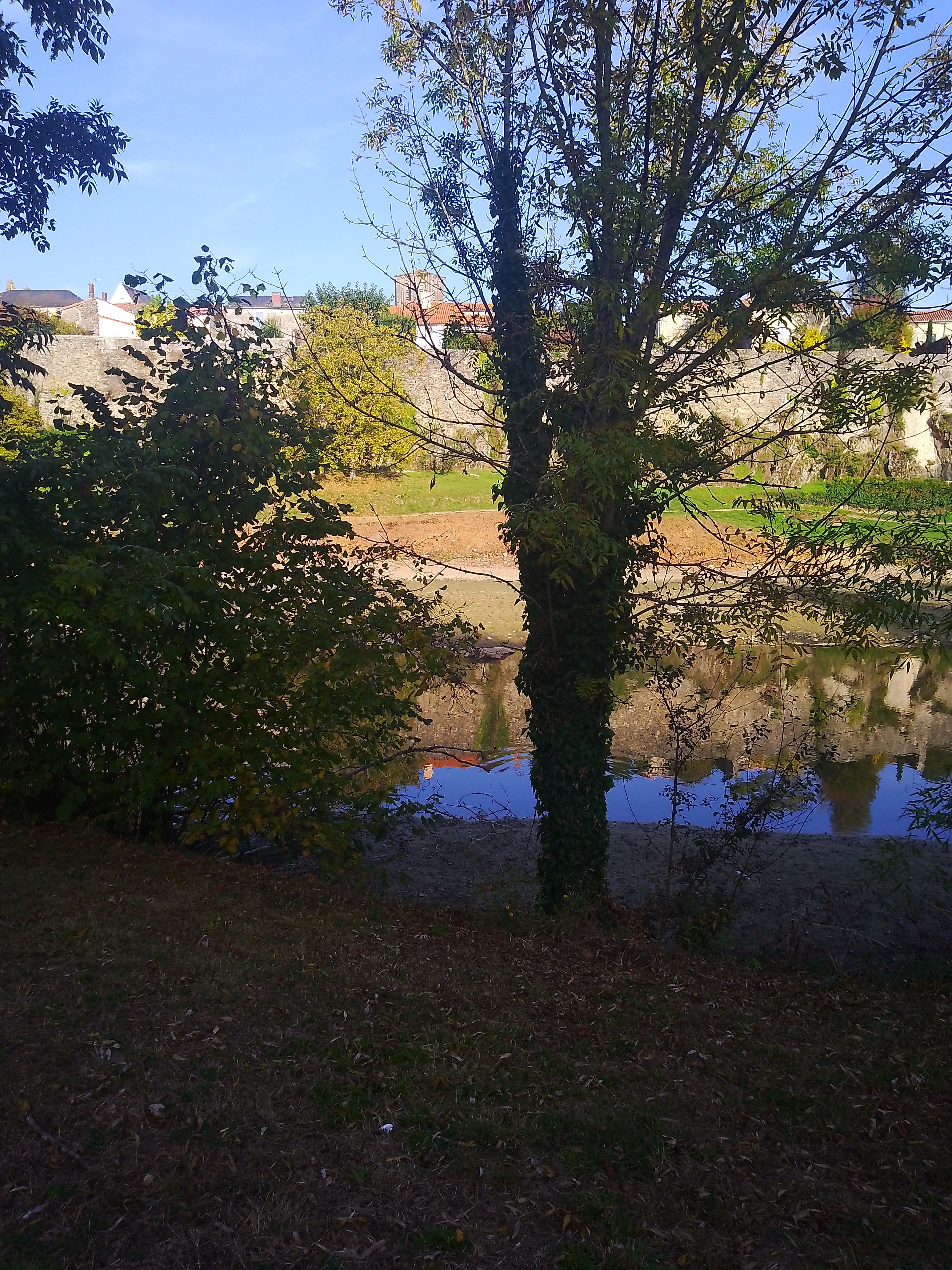 Photo n° 25 de l'avis de SANTOS.E fait le 12/10/2023 à 02:42