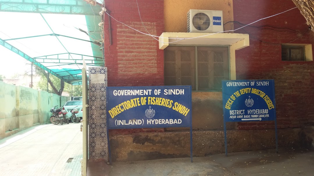 Directorate of Fisheries ,Hyderabad,Govt. Of Sindh