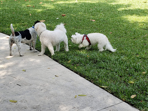 Park «North Shore Open Space Park», reviews and photos, 8328 Collins Ave, Miami Beach, FL 33141, USA