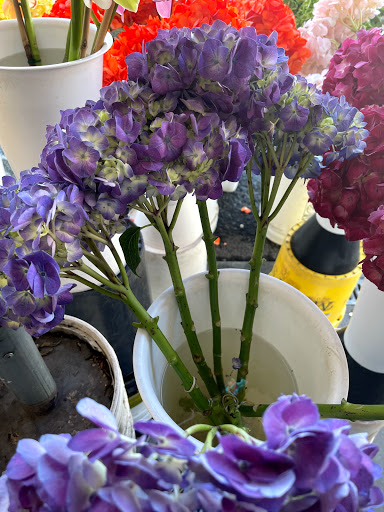 Florist «Ever Bloom Fresh Flowers», reviews and photos, 508 University Ave, San Diego, CA 92103, USA