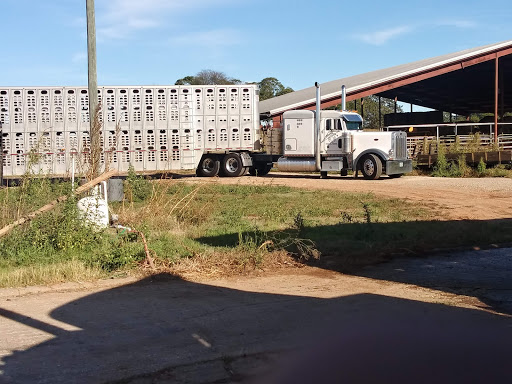 Cattle Trailer Washout en Eatonton