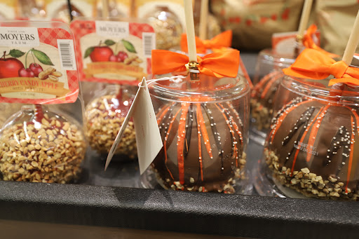 Grocery Store «Food Lion», reviews and photos, 304 S Broadway, Portland, TN 37148, USA