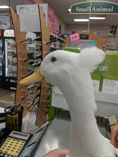 Pet Supply Store «Concord Feed Pet & Livestock Supplies», reviews and photos, 228 Hookston Rd, Pleasant Hill, CA 94523, USA