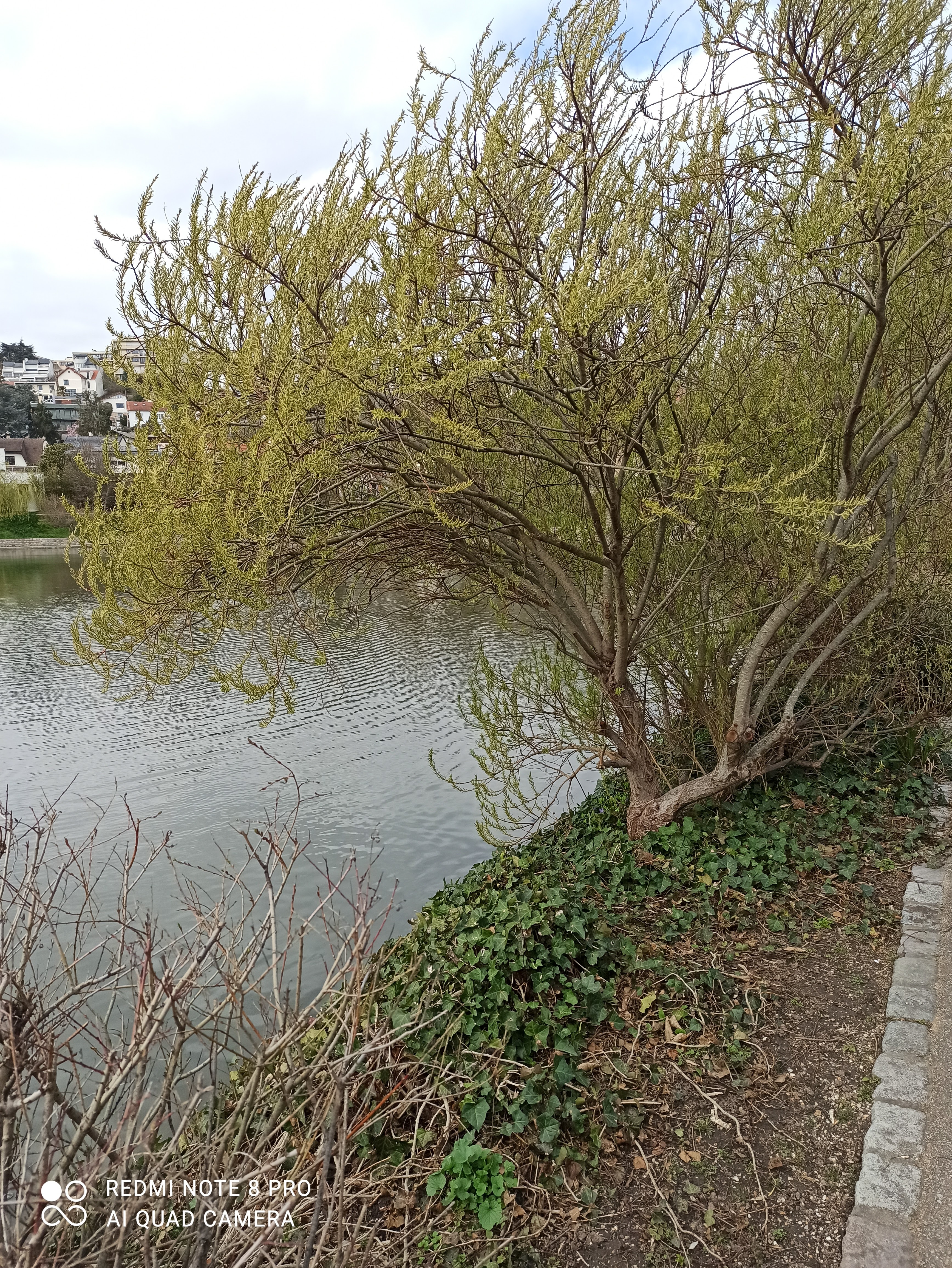 Photo n° 2 de l'avis de patricia.a fait le 22/03/2021 à 19:41