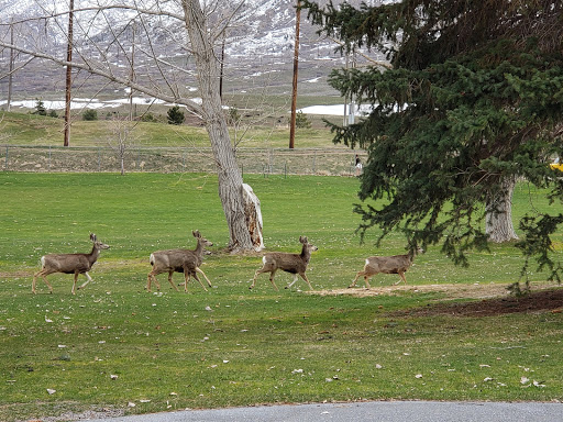 Golf Course «Oquirrh Hills Golf Course», reviews and photos, 1255 E Vine St, Tooele, UT 84074, USA