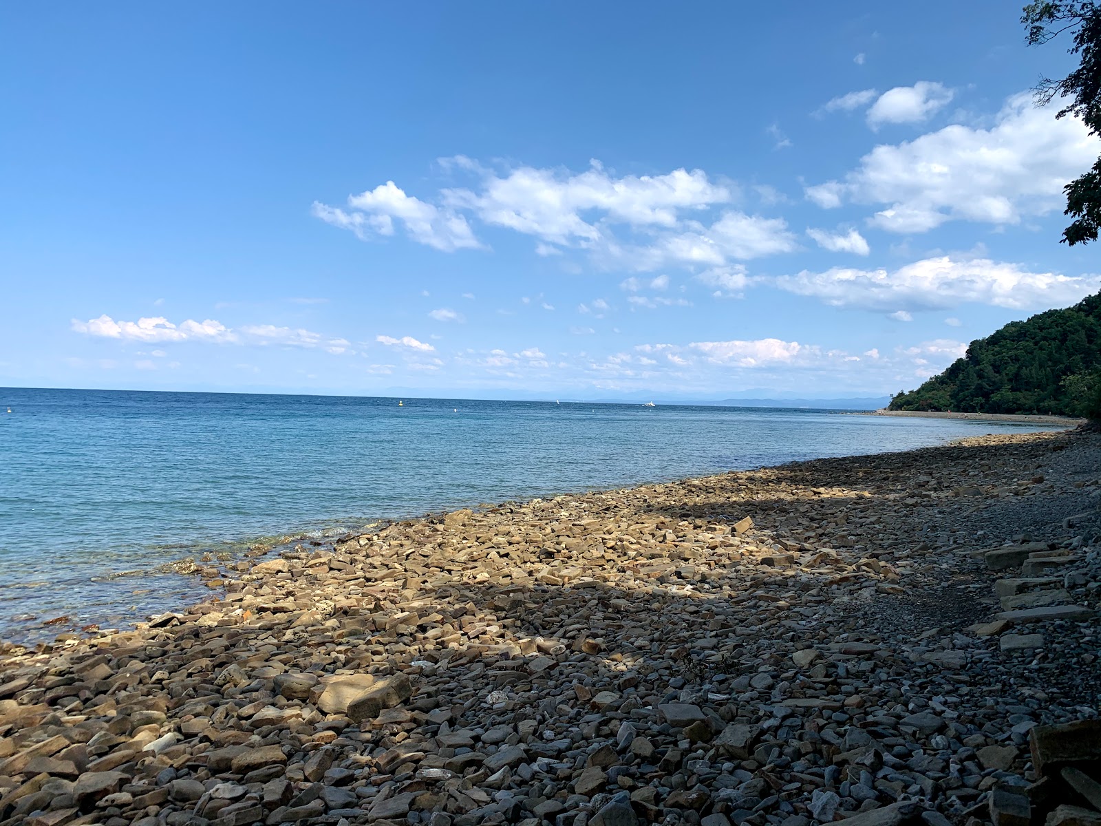 Photo of Strunjan beach with rocks cover surface