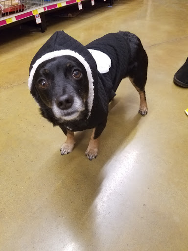 Pet Supply Store «PetSmart», reviews and photos, 132 NJ-31, Flemington, NJ 08822, USA