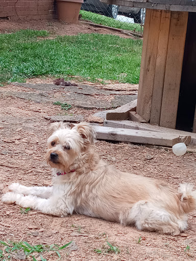 Pet Store «Pet Supermarket, Inc.», reviews and photos, 12185 GA-92, Woodstock, GA 30188, USA