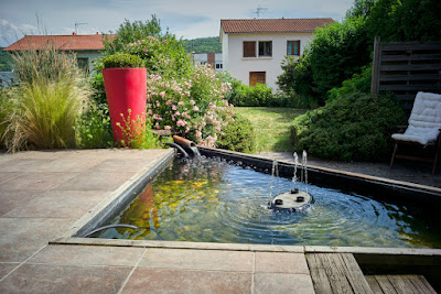 Paysages Brunnera à Châtel-Guyon