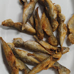 Photo n°1 de l'avis de juan.n fait le 04/09/2021 à 08:14 sur le  Medieval à Evora