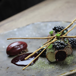 Photo n°9 de L'Huitrier Pie à Saint-Émilion ()