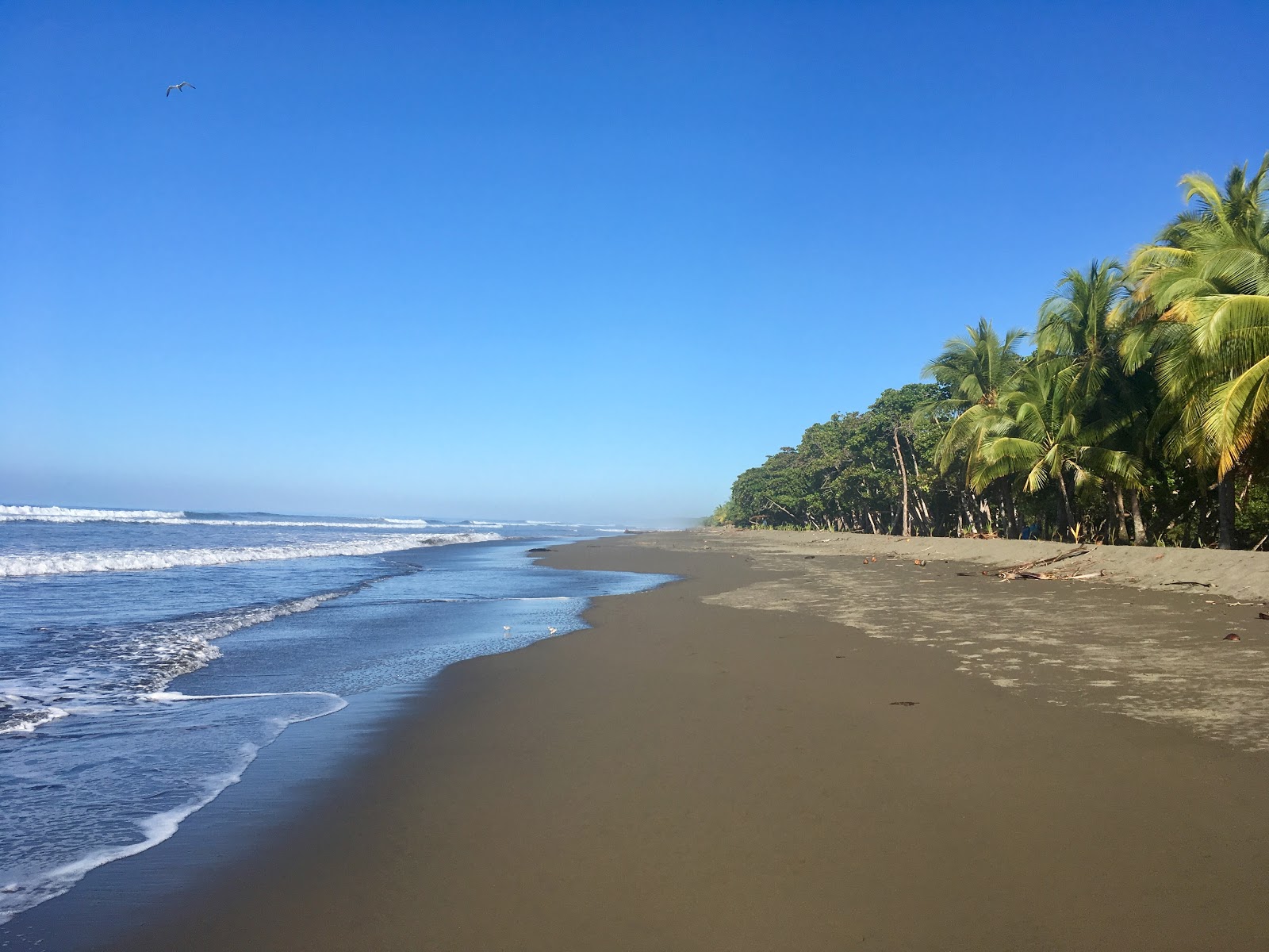 Foto van Playa Matapalo met turquoise water oppervlakte