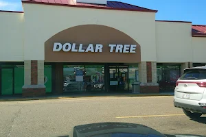 Dollar Tree image